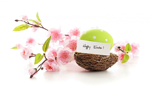 Glücklicher Ostern-Frühling blüht die Eier, fröhliche Ostern, fröhlich, Ostern, Frühling, Blumen, Eier, HD-Hintergrundbild HD wallpaper