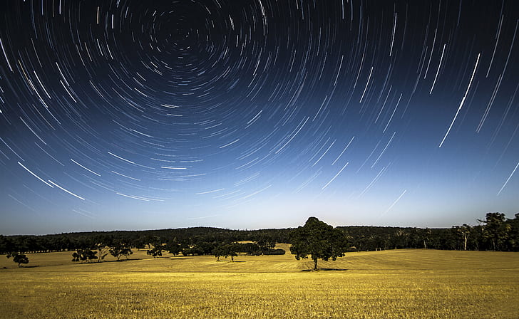 green leafed trees across brown grass field, karnet, western australia, karnet, western australia, Outback, Star Trails, Karnet, Western Australia, green, trees, brown, grass, tracks, circles, astrophotography, stack, stacking, night photography, astronomy, sky, rural, serpentine, perth  western australia, nikon  d5100, tokina, 16mm, long exposure, nature, night, star - Space, landscape, HD wallpaper