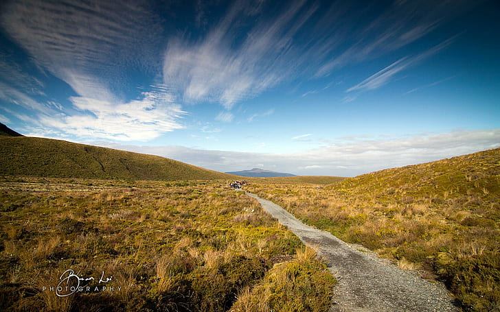 New Zealand Scenery, pathway under white clouds and blue sky, zealand, scenery, HD wallpaper