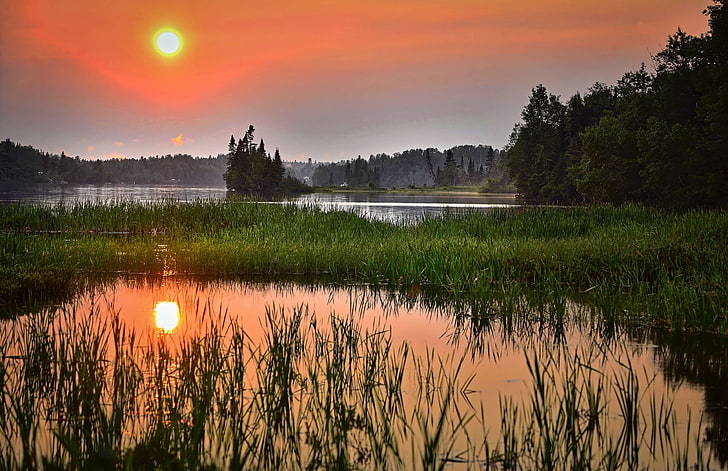รุ่งอรุณพลบค่ำป่าหญ้าทะเลสาบภูมิทัศน์สะท้อนดวงอาทิตย์พระอาทิตย์ขึ้นพระอาทิตย์ตกบึงต้นไม้น้ำ, วอลล์เปเปอร์ HD