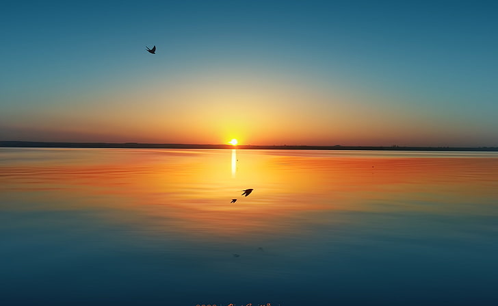 Sunset Over Lake Siutghiol, silhouette of flying bird and fish during golden hour wallpaper, Europe, Romania, bird, blue sky, spring, summer, sunset, photography, orange, travel, hdr, mamaia, seaside, 2013, long exposure, time exposure, water, lake siutghiol, lake mamaia, reflection, HD wallpaper