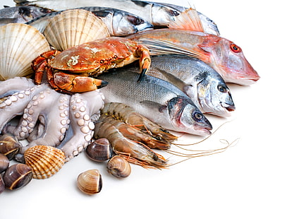 рыба, белый фон, ракушка, крабы, креветки, морепродукты, кальмар, HD обои HD wallpaper