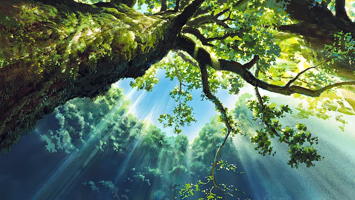 Princess Mononoke, animerade filmer, anime, animation, filmstillbilder, Studio Ghibli, Hayao Miyazaki, träd, himmel, solljus, löv, HD tapet