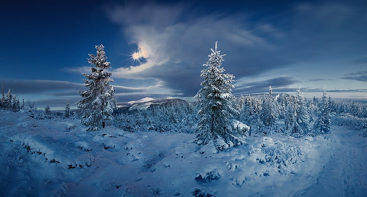 заснеженные деревья, пейзаж, природа, лес, зима, снег, холод, солнце, облака, деревья, Чехия, HD обои
