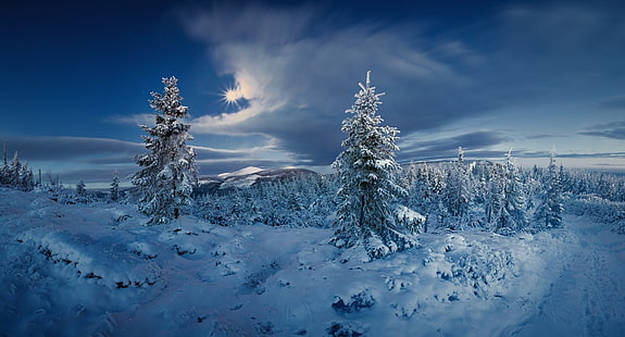 drzewa pokryte śniegiem, krajobraz, przyroda, las, zima, śnieg, zimno, słońce, chmury, drzewa, Czechy, Tapety HD HD wallpaper