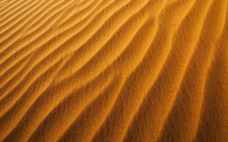 Sahara Desert Sands HD, 1920x1200, sahara desert, sahara, desert, sand, HD wallpaper