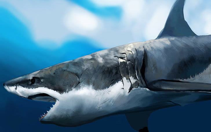 arte digital, 1920x1200, tubarão, ultra hd, 4K, grande tubarão branco, tubarão hd, HD papel de parede
