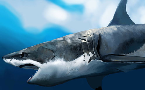 arte digital, 1920x1200, tubarão, ultra hd, 4K, grande tubarão branco, tubarão hd, HD papel de parede HD wallpaper