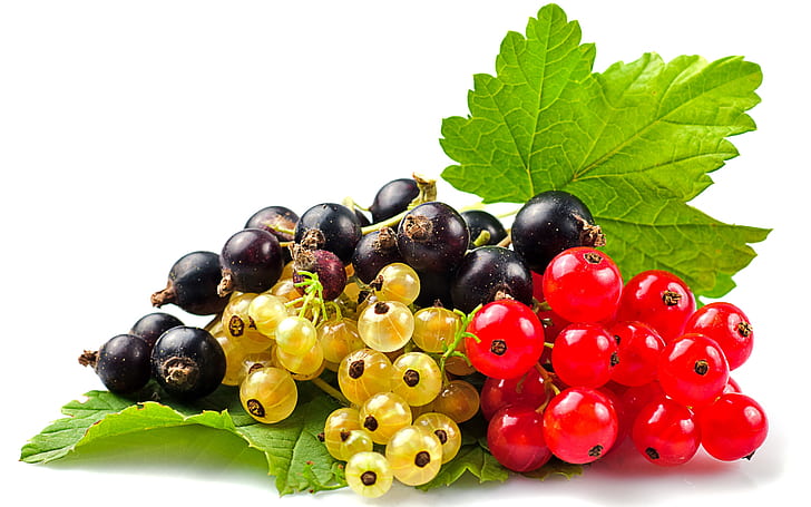 Currants Selection, black currants, white currants, red currants, berries, fruits, HD wallpaper