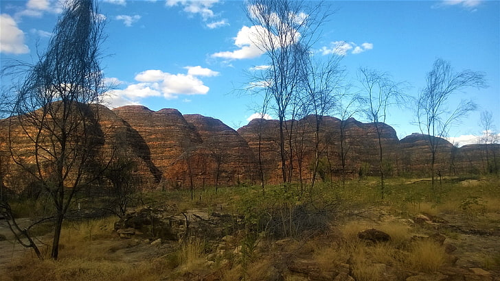 australia, bungle bungles, purnululu national park, national park, western australia, purnululu, HD wallpaper