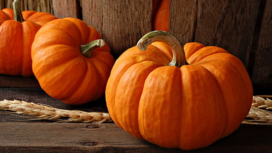 тыква, овощной, производить, Хэллоуин, осень, оранжевый, падать, еда, завод, тыквы, день благодарения, октябрь, урожай, праздник, сезонный, тыква, украшение, сезон, желтый, стебель, фрукты, HD обои HD wallpaper