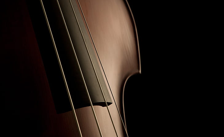 Double Bass Strings, Music, Double, Bass, Strings, HD wallpaper