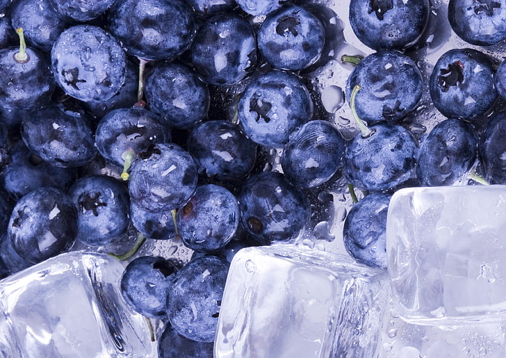 blueberries, blueberries, ice, water, berries, HD wallpaper