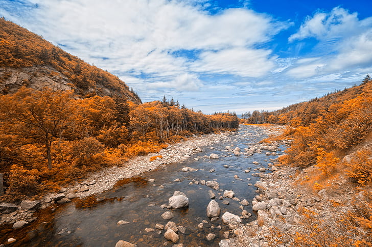 landscape photography of brown leaf trees and river during daytime, Cabot Trail, HDR, landscape photography, leaf, trees, river, daytime, cabot  trail, scenery, scape, nature, natural, travel, background, scene, scenic, nova  scotia, canada, canadian, cape  breton, foliage, tree, forest, grass, rural, country, countryside, cloud, clouds, coast, coastal, coastline, shore, shoreline, maritime, maritimes, wide  angle, wide-angle, hill, hills, water, stream, creek, rocks, stone, beauty, beautiful, blue, cyan, amber, orange, yellow, white, black, stock, resource, image, photo, picture, photograph, high, res, quality, ca, day, autumn, landscape, season, outdoors, scenics, mountain, beauty In Nature, orange Color, multi Colored, HD wallpaper