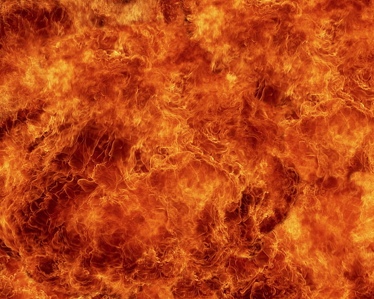 api, Wallpaper HD