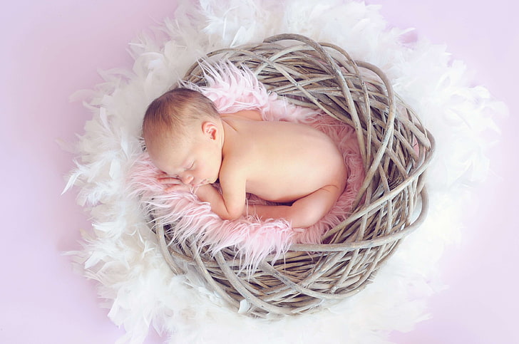 bebê, bonitinho, menina, recém nascido, sessão de fotos, pose, adormecido, HD papel de parede