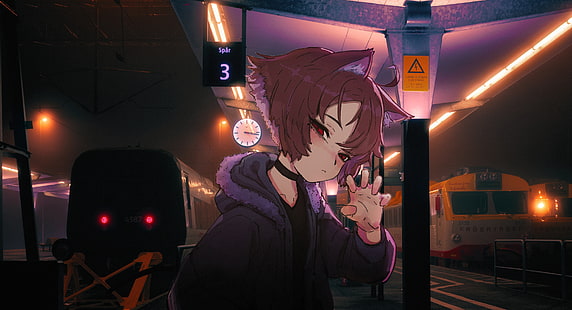 Anime, irl, 2D, Nacht, HD-Hintergrundbild HD wallpaper