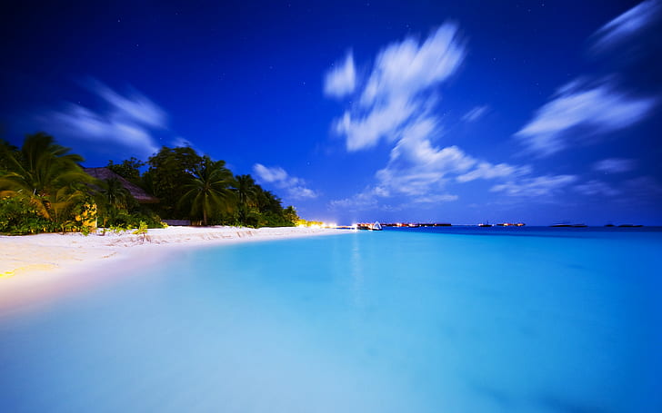strand, tropisch, meer, palmen, himmel, HD-Hintergrundbild