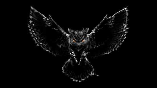 Nightmare, Owl, Black, Scary, HD, HD wallpaper HD wallpaper
