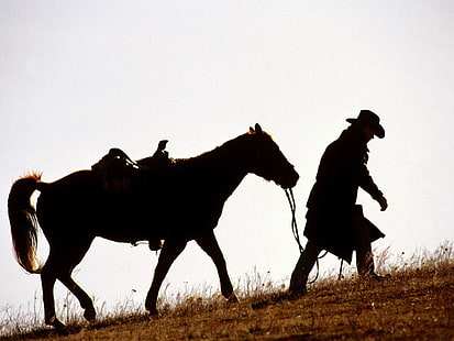 animals, Cowboys, horse, HD wallpaper HD wallpaper