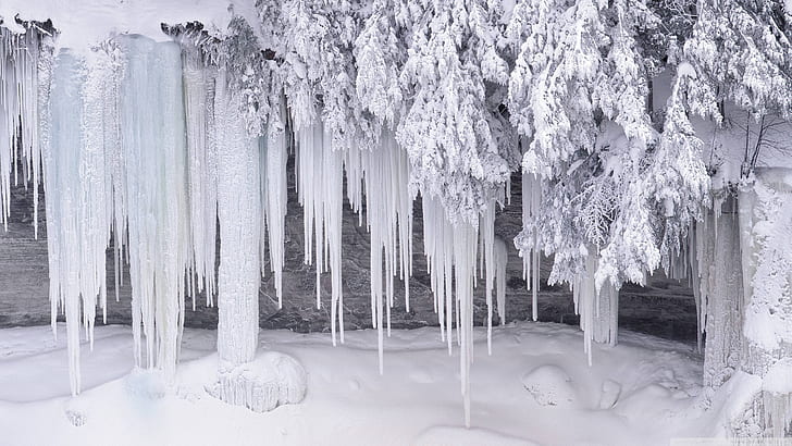 Icicles Ice Winter Snow HD, ธรรมชาติ, หิมะ, ฤดูหนาว, น้ำแข็ง, น้ำแข็ง, วอลล์เปเปอร์ HD