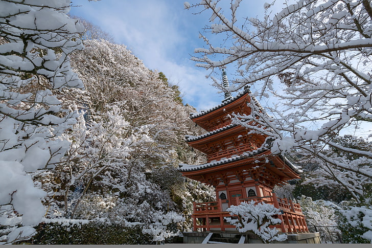 pagode en bois brune, hiver, neige, arbres, branches, Japon, temple, pagode, Kyoto, temple Mimuroto-ji, Fond d'écran HD