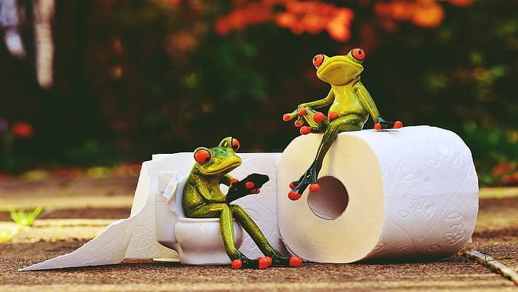 animals, frog, Retro style, situation, Toilet Paper, vintage, HD wallpaper