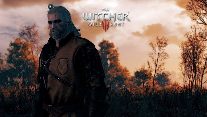 Играта The Witcher Wild Hunt, The Witcher 3: Wild Hunt, HD тапет