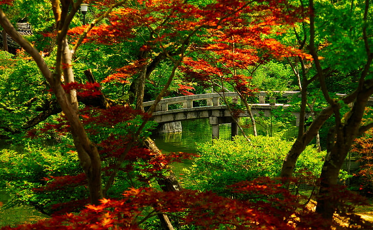 Japanese Garden (Kyoto), green and red leafed trees, Asia, Japan, cool, nice, nature, garden, kyoto, foliage, japanese, bridge, trees, HD wallpaper