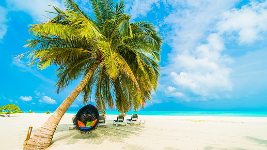 tropical beach, maldives, tropical landscape, summertime, tourism, summer, ocean, sandy beach, tropical, tropics, sea, palm tree, shore, vacation, travel, sky, palm, HD wallpaper HD wallpaper