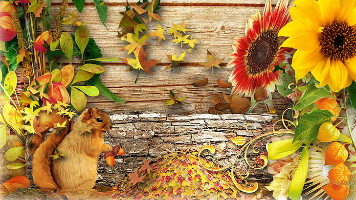 Fall Squirrel, leaves, sunflowers, wood, flowers, autumn, fall, garden, pods, squirrel, HD wallpaper