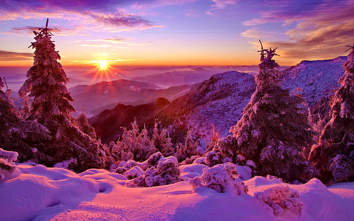 Inverno, céu, pôr do sol, montanhas, floresta, árvores, abeto, neve, Inverno, céu, pôr do sol, montanhas, floresta, árvores, abeto, neve, HD papel de parede
