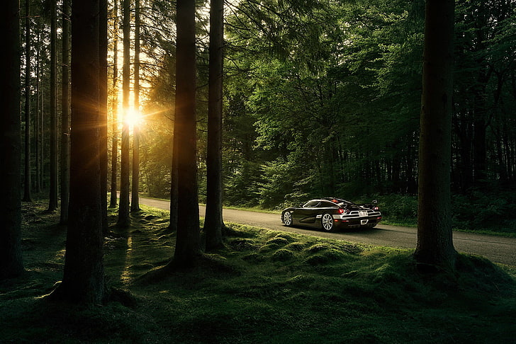 검은 쿠페, 자연, 나무, 숲, 햇빛, 태양, Koenigsegg, 스포츠카, 도로, Koenigsegg CCXR, HD 배경 화면