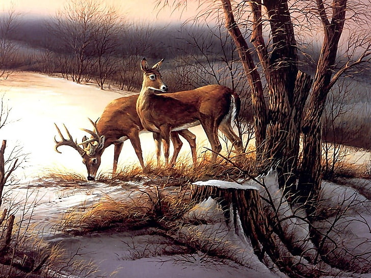 두 갈색 사슴 그림, 동물, 자연, 사슴, 테리 레드 린, 그림, 삽화, 눈, 겨울, HD 배경 화면