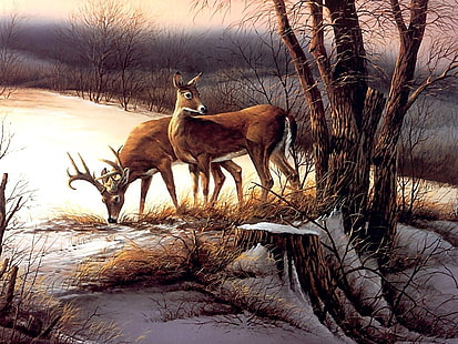 deux cerf brun peinture, animaux, cerf, Terry Redlin, peinture, oeuvre, neige, hiver, Fond d'écran HD HD wallpaper