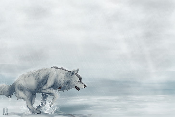 sketch of wolf, rain, fatigue, wolf, runs, art, Mara-Elle, HD wallpaper
