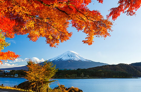 Mt. Фуджи, Япония, есен, гора, небе, листа, сняг, дървета, езеро, Япония, планина, Фуджи, HD тапет HD wallpaper