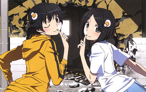 Anime, Monogatari (Series), Karen Araragi, Tsukihi Araragi, HD wallpaper HD wallpaper