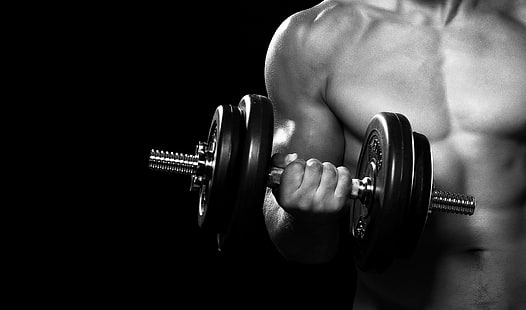 grayscale photo of man holding dumbbell wallpaper, man, fitness, gym, arms, dumbbell, HD wallpaper HD wallpaper