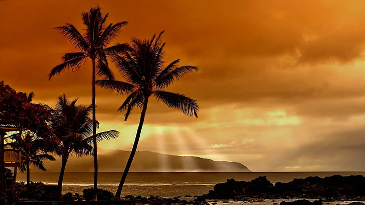hawaii et économiseurs d'écran, Fond d'écran HD
