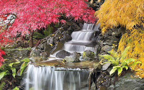 Осенний пейзаж Водопад с деревьями японского клена Портленд Соединенные Штаты Америки Обои для Android для рабочего стола или телефона 3840 × 2400, HD обои HD wallpaper