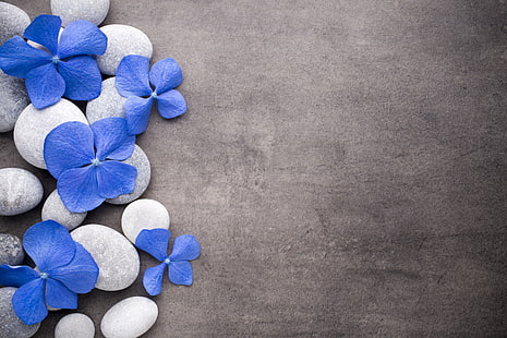 flores, pedras, azul, spa, zen, HD papel de parede HD wallpaper