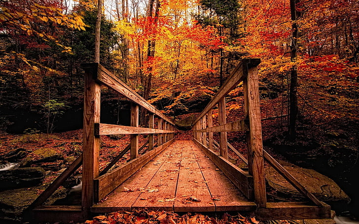 коричневый деревянный мост, деревянная конструкция, лес, осень, HD обои
