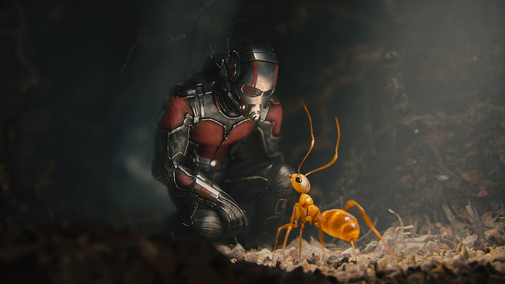 Marvel Antman, Ant-Man, фэнтези-арт, фильмы, муравьи, HD обои