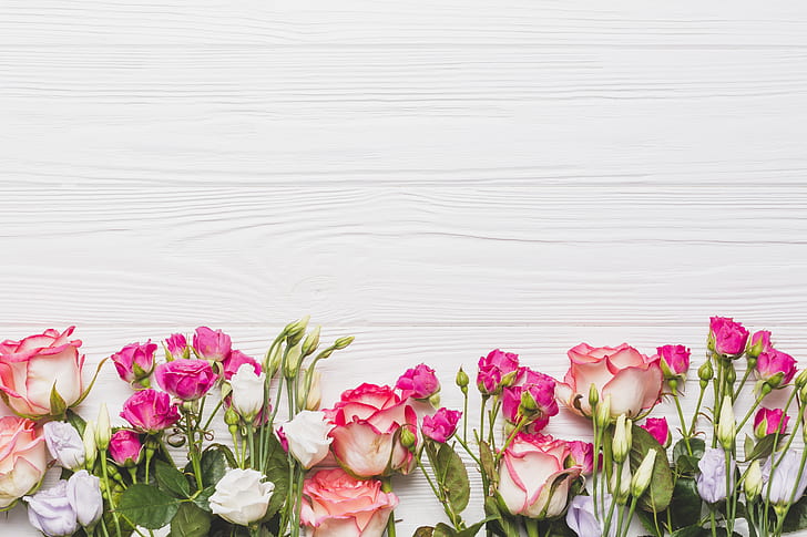 Flores, fundo, rosas, eustoma, HD papel de parede