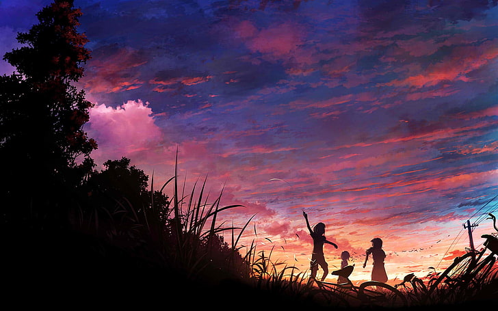 silhouette de trois personnes près de l'herbe pendant le coucher du soleil, ciel, coucher de soleil, silhouette, nuages, vélo, herbe, filles anime, anime, Fond d'écran HD