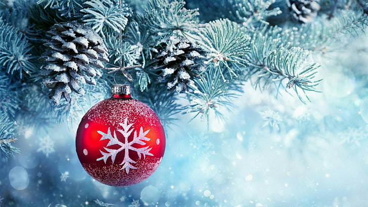 коледна топка, коледна украса, Коледа, конус, бор, ела, сняг, снежинка, иней, HD тапет