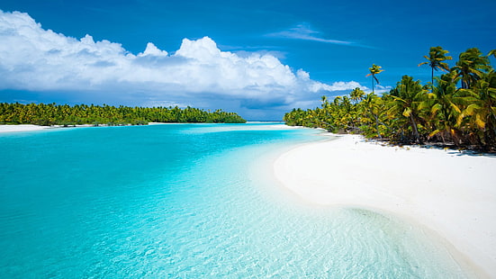ออสเตรเลียและแปซิฟิกใต้หมู่เกาะคุก Aitutaki ภูมิทัศน์ป่าเขตร้อน Papy And Coconut Trees White Sandy Beaches Desktop Hd Wallpaper 1920 × 1080, วอลล์เปเปอร์ HD HD wallpaper
