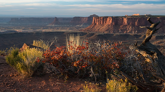 Fondo de pantalla digital de montaña marrón, Utah, paisaje, Parque Nacional Zion, cañón, desierto, Fondo de pantalla HD HD wallpaper