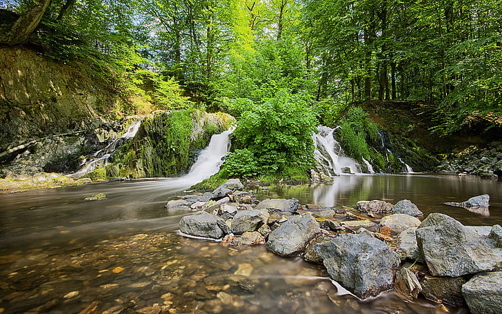 Waldwasserfall und Steine, graue Felsbrocken, Natur, Landschaft, Baum, Grün, Wald, Wasserfall, Steine, HD-Hintergrundbild